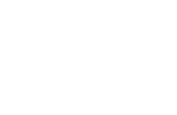 Silesia Startup Foundation